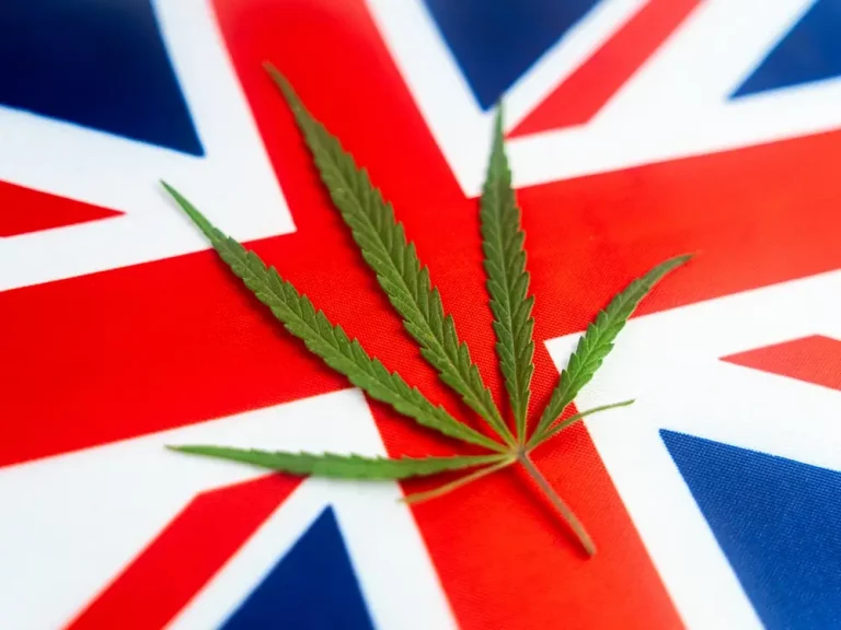 What Strength of CBD is Legal in the UK?